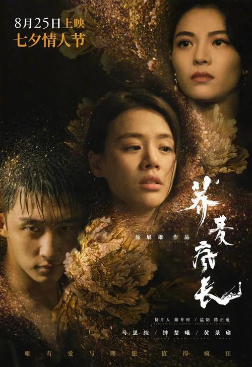 制作密歇根州出生证明